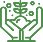 647, Growth, hand, money, plant@4x